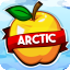 Иконка сервера ArcticMC