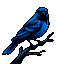 Иконка сервера Oriole