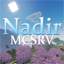 Иконка сервера Nadir