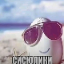 Иконка сервера 135.181.237.55